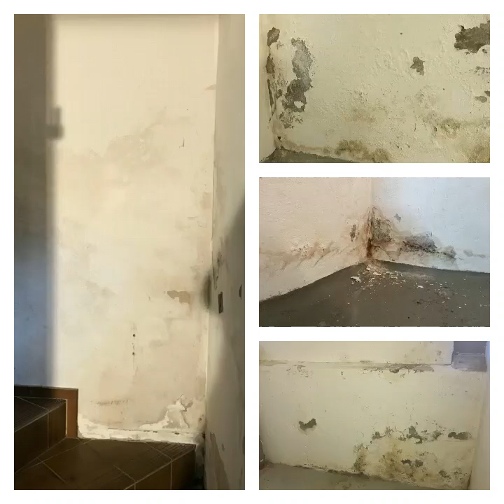 Feuchte Wände Feuchte Wände