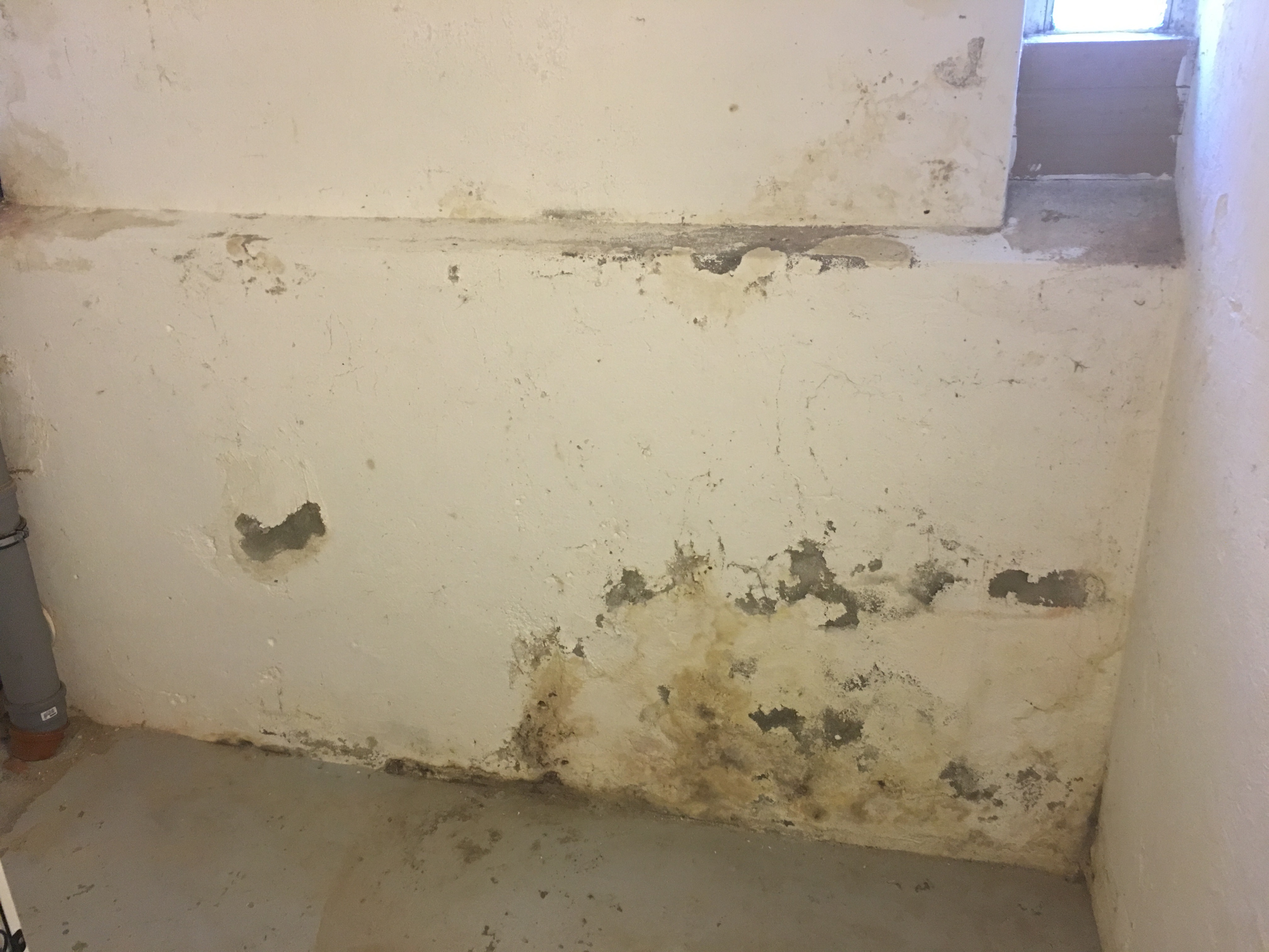 Feuchte Innenwand im Sockelbereich mit dunklen Verfärbungen und beginnendem Putzschaden