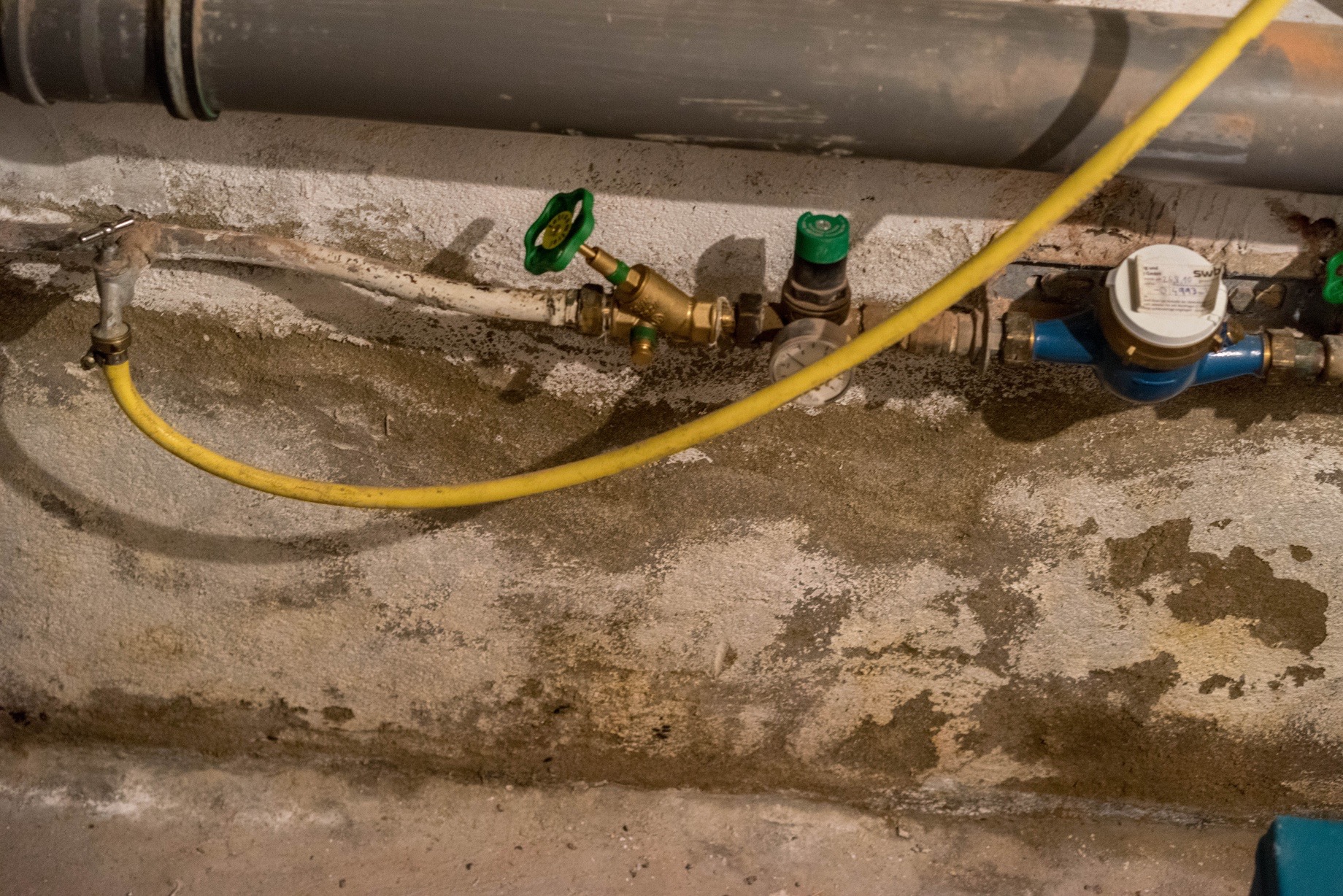 Feuchte Kellerwand mit beschädigtem Putz und sichtbaren Feuchte- und Salzschäden an der Wandoberfläche