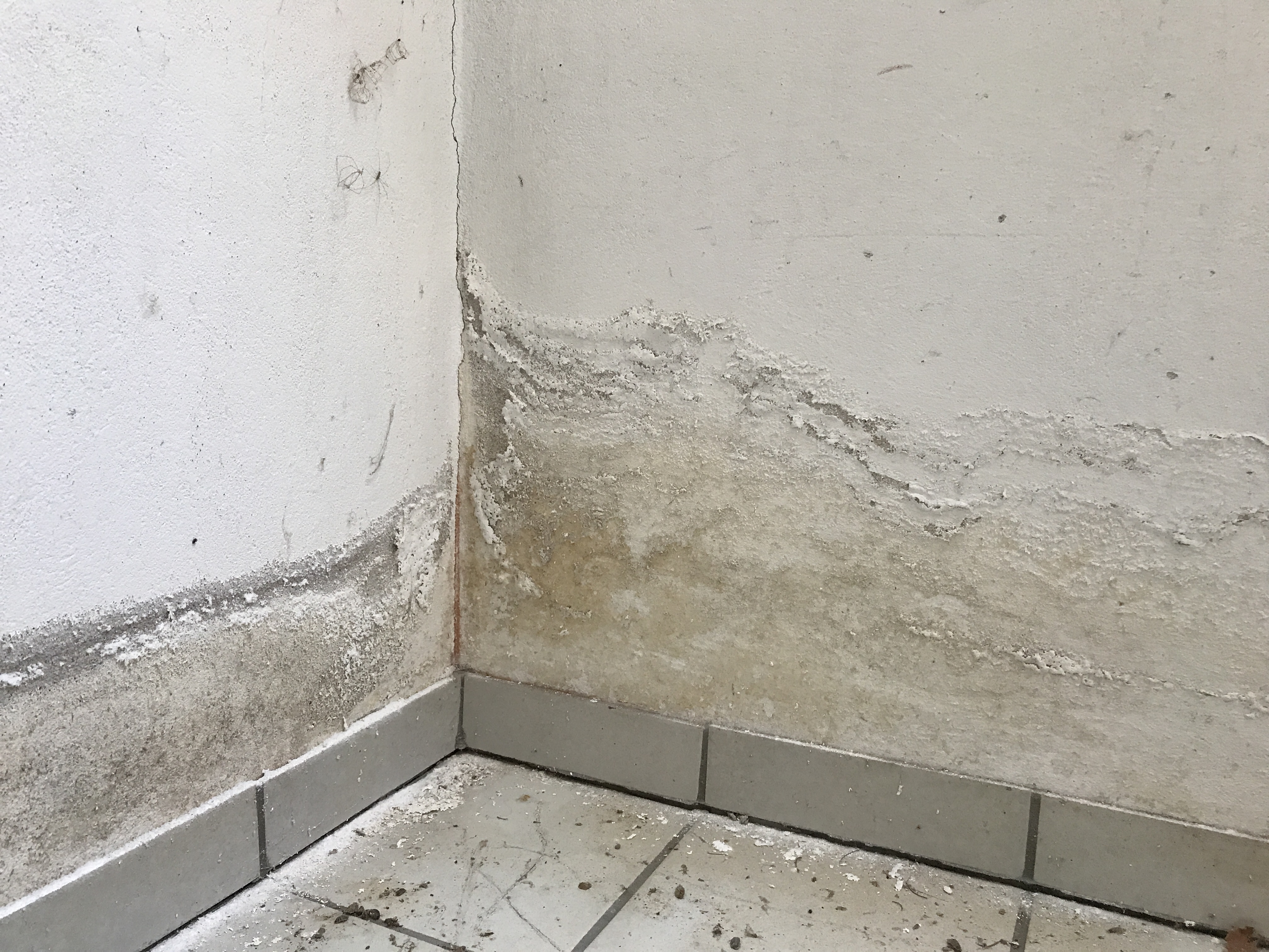 Feuchte Wand im Eckbereich mit abgelöstem Putz und typischen Feuchterändern oberhalb des Bodenanschlusses