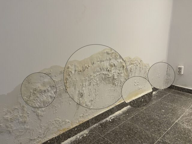 Sanierte Kellerwand nach Kernsanierung – Feuchtigkeit und Ausblühungen trotz ausgeführter Horizontalsperre sichtbar