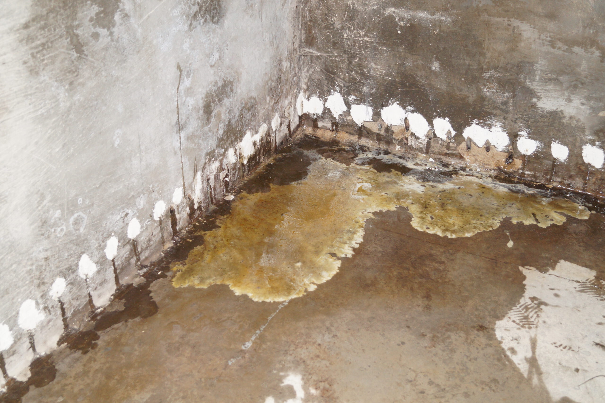 Hochdruckverpressung mit PUR-Harz im Keller – Wasser tritt trotz verfüllter Injektionsbohrungen weiterhin aus dem Mauerwerk aus