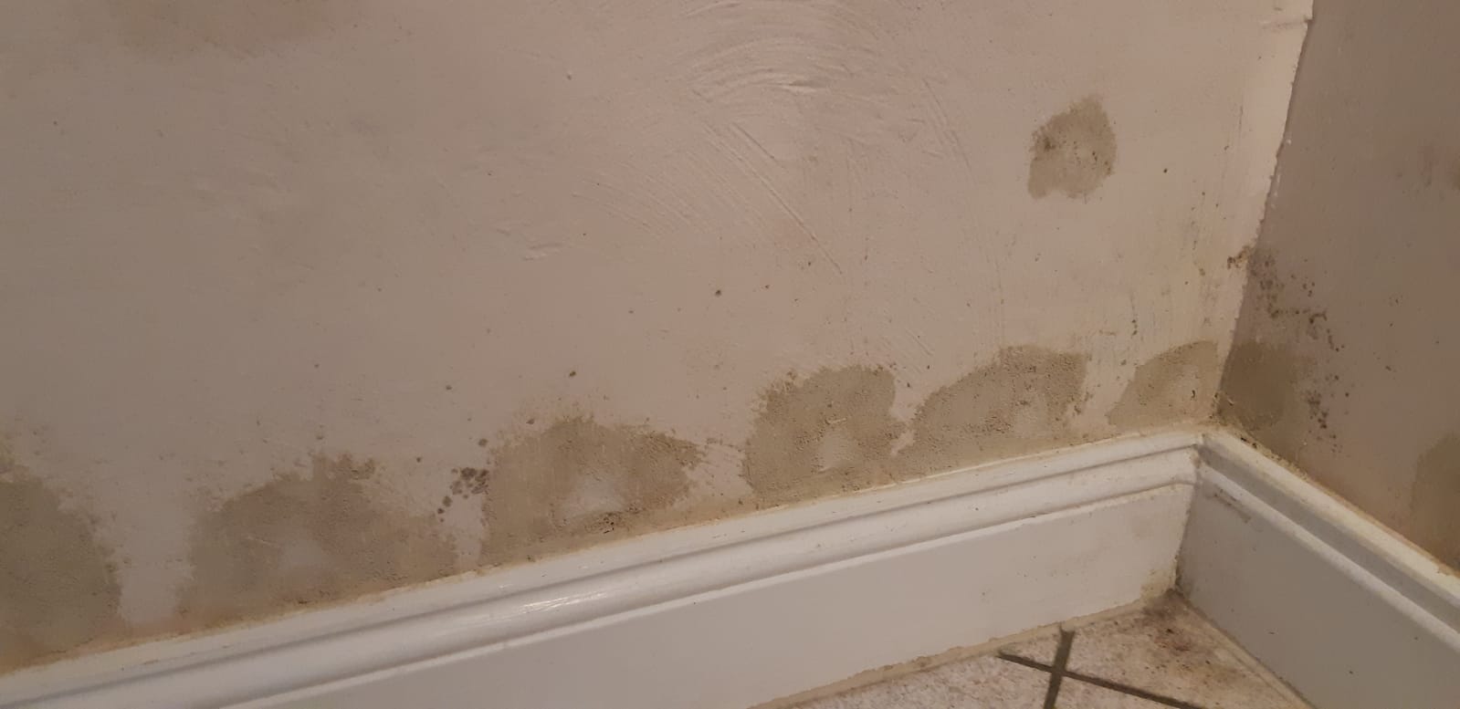 Kellerwand nach abgeschlossener Sanierungsmaßnahme – erneute Feuchte- und Verfärbungsspuren im Sockelbereich sichtbar