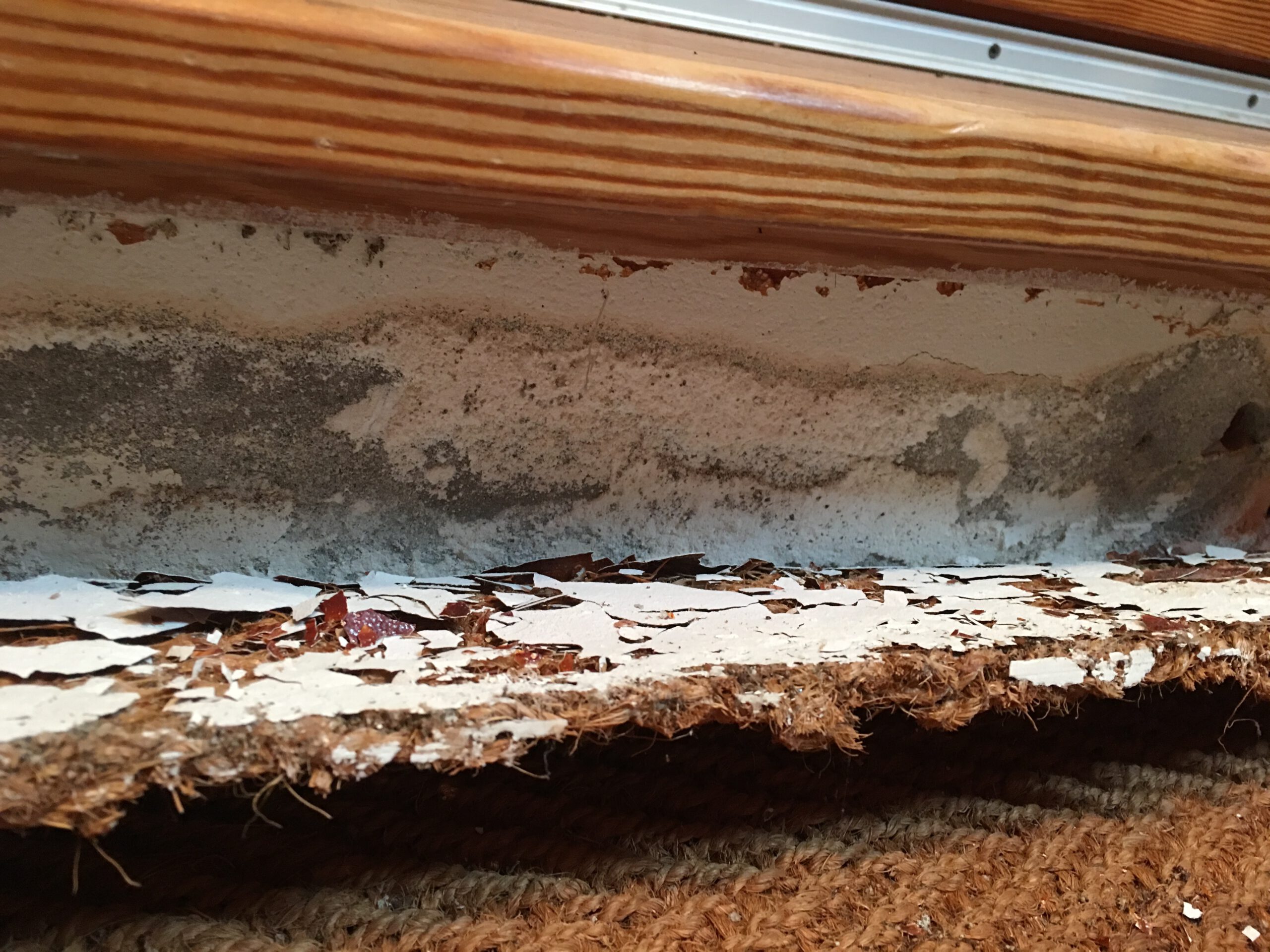 Salpeter hinter der Fußleiste unter der Türschwelle – Feuchtigkeit in der Sockelzone