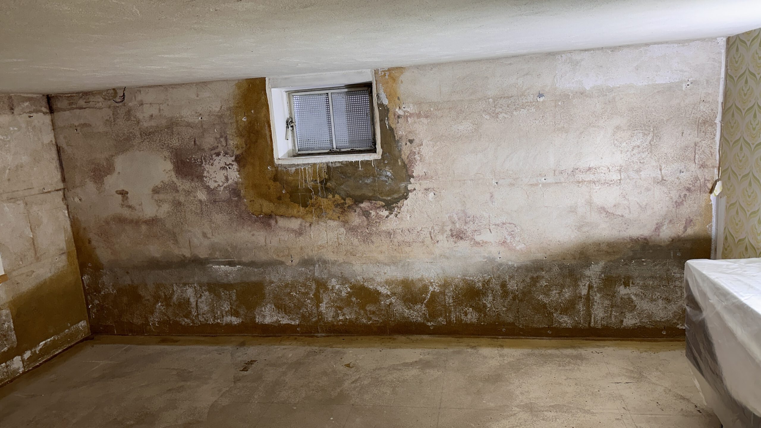 Fehlgeschlagene Kellersanierung: feuchte Kellerwand nach vielen Fehlversuchen