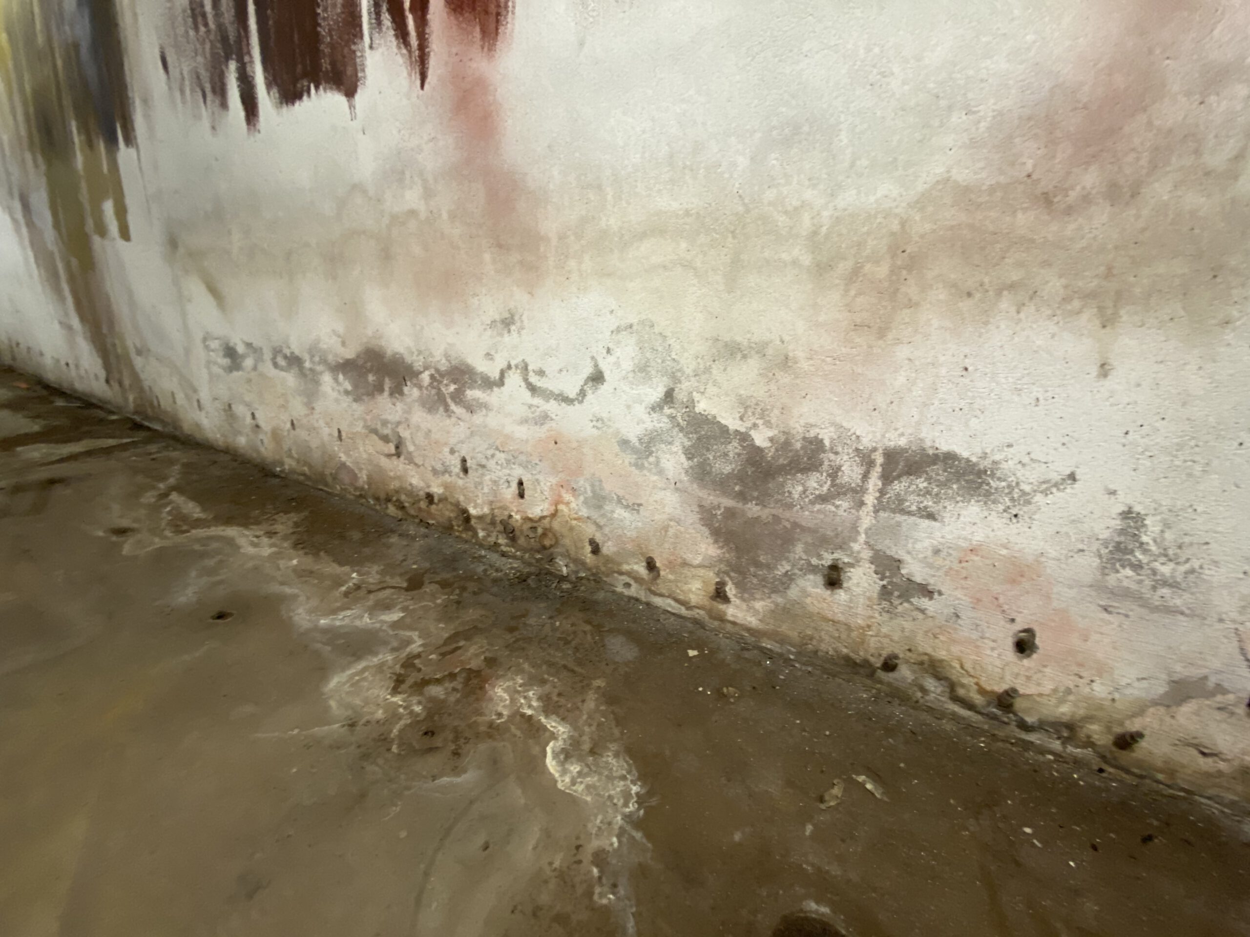 Syke bei Bremen (November 2020): feuchte Kellerwand mit Bohrlochreihe und sichtbaren Injektionsstellen nach einer misslungenen flüssigen Horizontalsperre.