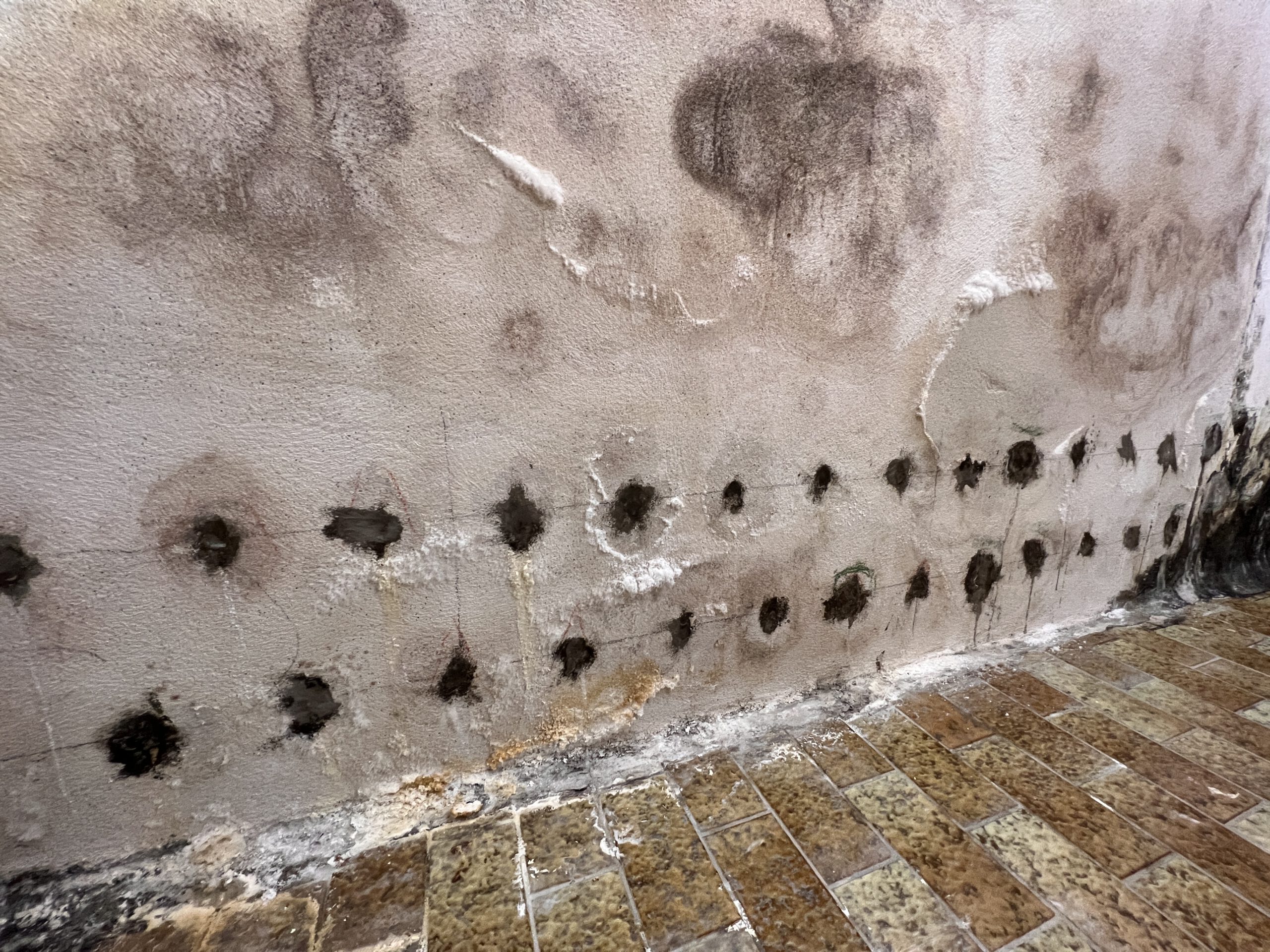 Kellerwand nach ausgeführter Horizontalsperre in Bremen-Kattenturm: sichtbare Bohrlochreihe und Salpeterspuren zeigen weiterhin feuchtes Mauerwerk.