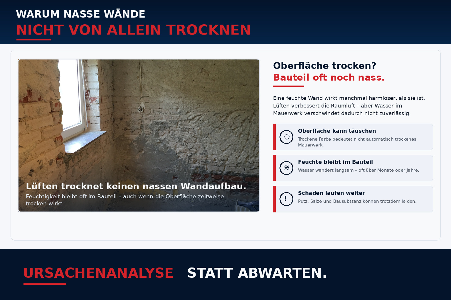 Nasse Kellerwand mit freigelegtem Mauerwerk und Feuchtigkeitsschäden – warum nasse Wände nicht von allein trocknen und eine Ursachenanalyse wichtig ist