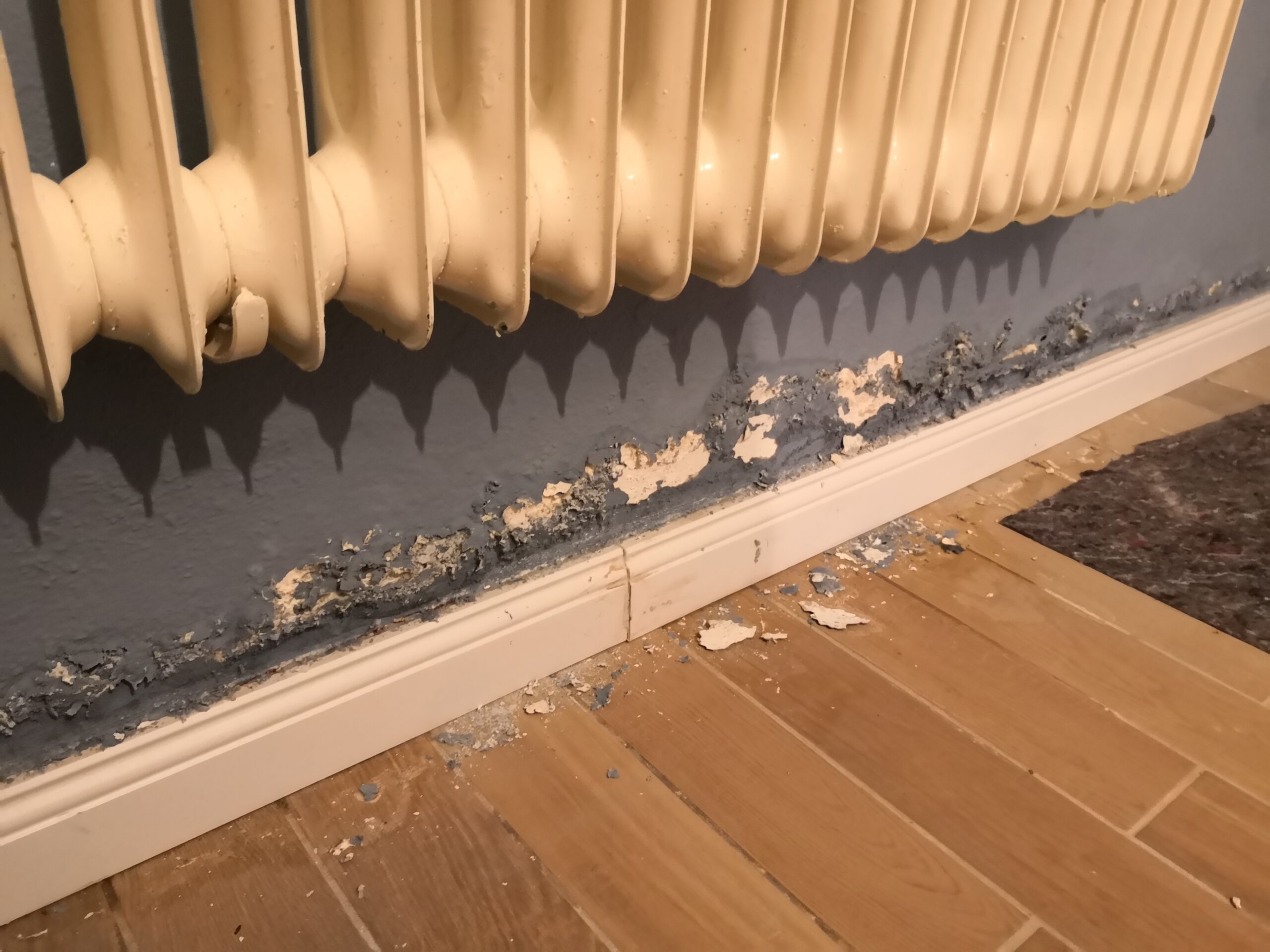 Feuchte Innenwand mit abplatzendem Putz nach Sanierung
